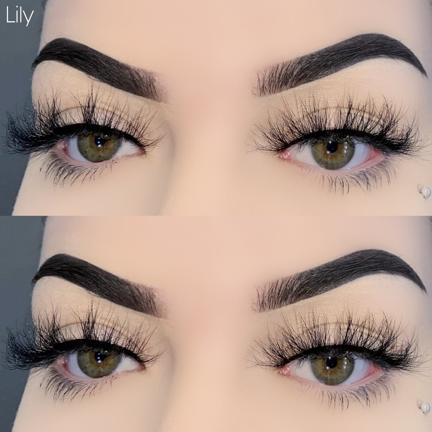 Lily